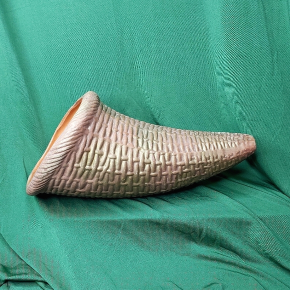 Cornucopia vase/container - Picture 2 of 11